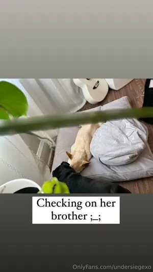 Undersiegexo OnlyFans Leaked Free Thumbnail Picture - #L0zI2uRFaU