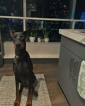 Valerie Saint Claire OnlyFans Leaked Free Thumbnail Picture - #9Vt32PRhzN