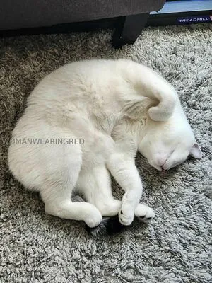 Valyndris OnlyFans Leaked Free Thumbnail Picture - #INvXfCuRw4