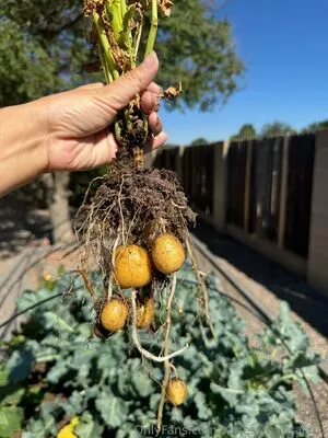 Vanessa Veracruz OnlyFans Leaked Free Thumbnail Picture - #WKS5tsVFwC