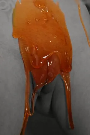 Vanessa Wolff OnlyFans Leaked Free Thumbnail Picture - #Gulu2wn5tY