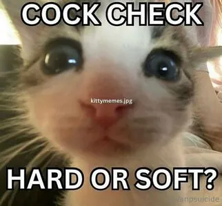 Vanplive OnlyFans Leaked Free Thumbnail Picture - #2V1gS194IR