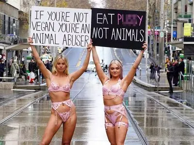 Veganbooty OnlyFans Leaked Free Thumbnail Picture - #vOcbYf5Zep