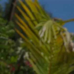 Velicityvon OnlyFans Leaked Free Thumbnail Picture - #3tnvQNTtnb