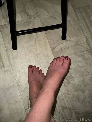 Venus Kittyxo OnlyFans Leaked Free Thumbnail Picture - #RPl4GjChdg