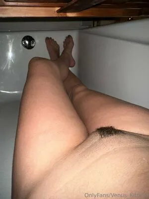 Venus Kittyxo OnlyFans Leaked Free Thumbnail Picture - #WE9SBlbeYj