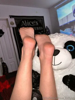 Venus Kittyxo OnlyFans Leaked Free Thumbnail Picture - #ukBw5RxKwn
