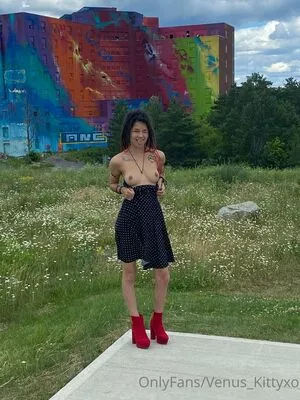 venus_kittyxo OnlyFans Leaked Free Thumbnail Picture - #D77ykubDkt
