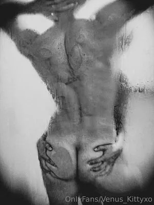venus_kittyxo OnlyFans Leaked Free Thumbnail Picture - #jiXskedqGJ