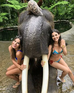 Victoria Justice OnlyFans Leaked Free Thumbnail Picture - #fxXy4KpGU0