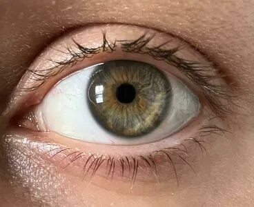 Victoria Liro OnlyFans Leaked Free Thumbnail Picture - #QMcd6CrBAx