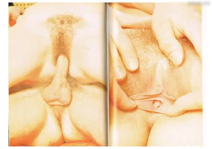 Vintage Erwachsenen Zeitschriften OnlyFans Leaked Free Thumbnail Picture - #2RrDVVXcv0