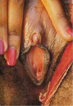 Vintage Erwachsenen Zeitschriften OnlyFans Leaked Free Thumbnail Picture - #FAvgUthJBd