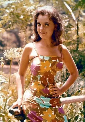 Vintage Sexy Celebs OnlyFans Leaked Free Thumbnail Picture - #YrOvSwrtyo