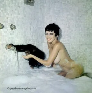 Vintage Starlets OnlyFans Leaked Free Thumbnail Picture - #3n9UlwetmO