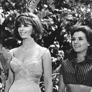 Vintage Starlets OnlyFans Leaked Free Thumbnail Picture - #5JgmfzATzf