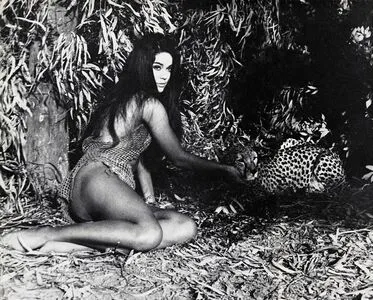 Vintage Starlets OnlyFans Leaked Free Thumbnail Picture - #89YVAtoNBQ