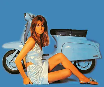 Vintage Starlets OnlyFans Leaked Free Thumbnail Picture - #AkLw2GhSGE