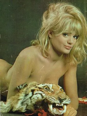 Vintage Starlets OnlyFans Leaked Free Thumbnail Picture - #FesJB8TkKM