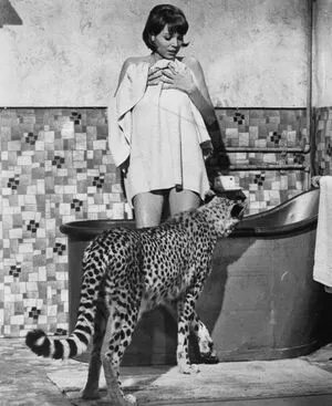 Vintage Starlets OnlyFans Leaked Free Thumbnail Picture - #HjIIRkD6ir