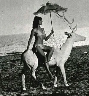 Vintage Starlets OnlyFans Leaked Free Thumbnail Picture - #f9se2HxNtb