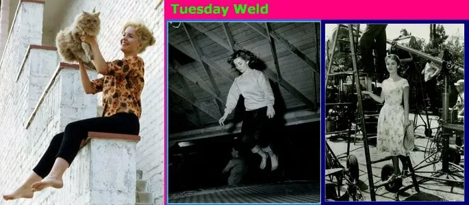 Vintage Starlets OnlyFans Leaked Free Thumbnail Picture - #nkZRGtdC7e