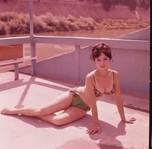 Vintage Starlets OnlyFans Leaked Free Thumbnail Picture - #nvUWLyMKRb