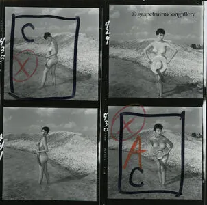 Vintage Starlets OnlyFans Leaked Free Thumbnail Picture - #oSXBs4Akr5