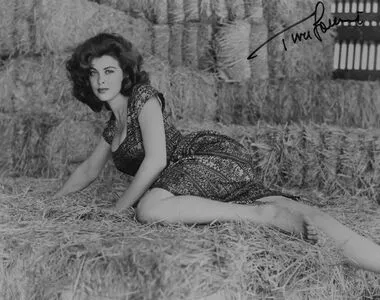 Vintage Starlets OnlyFans Leaked Free Thumbnail Picture - #rQn0CQNWE1
