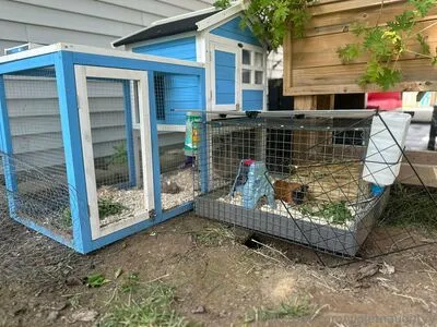 Violetnaughtyy OnlyFans Leaked Free Thumbnail Picture - #6Xofgthd6G