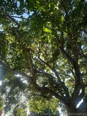 Violetnaughtyy OnlyFans Leaked Free Thumbnail Picture - #UdmZVxnXwm