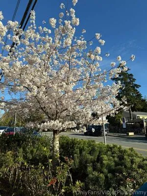 Violetplustommy OnlyFans Leaked Free Thumbnail Picture - #IFy1Jsp8mn