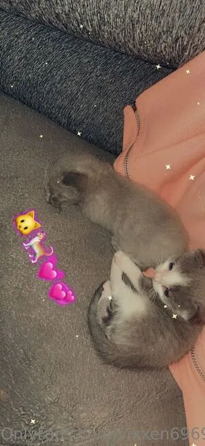 Vixxen6969 OnlyFans Leaked Free Thumbnail Picture - #JsVF0h7hyS