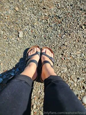 Wahotwifevip OnlyFans Leaked Free Thumbnail Picture - #L8G4rpHhTM