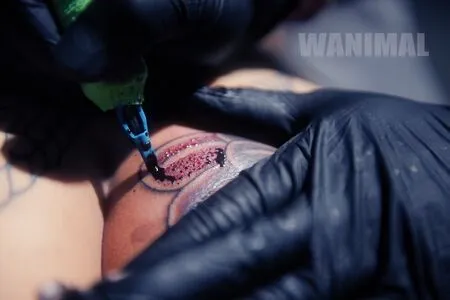 Wanimal Models OnlyFans Leaked Free Thumbnail Picture - #2qeMTCswZn