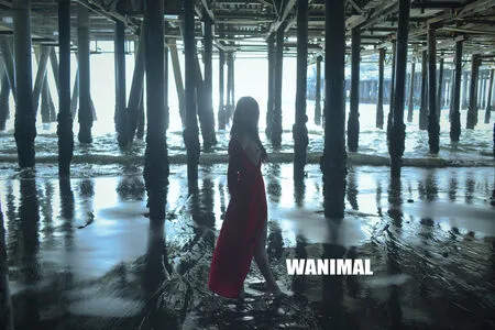 Wanimal Models OnlyFans Leaked Free Thumbnail Picture - #5niyrR0ajF