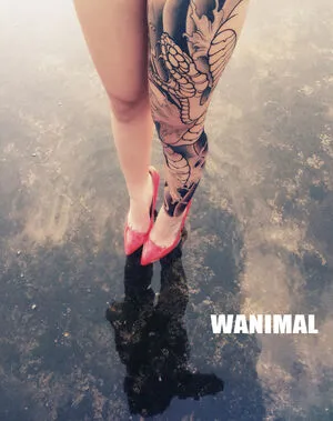 Wanimal Models OnlyFans Leaked Free Thumbnail Picture - #6XxUCOHOAf