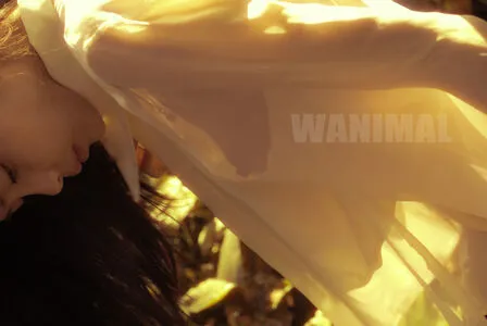 Wanimal Models OnlyFans Leaked Free Thumbnail Picture - #7M0Kz8qNWk