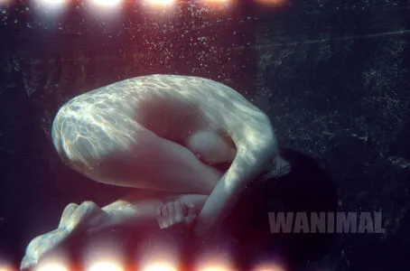 Wanimal Models OnlyFans Leaked Free Thumbnail Picture - #9zQc09hlft