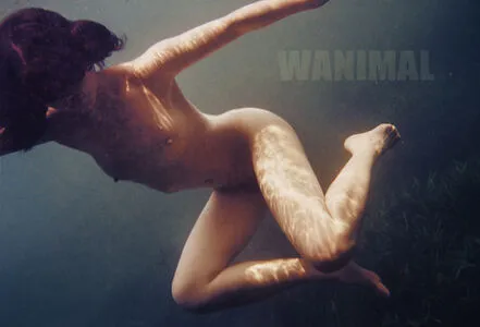 Wanimal Models OnlyFans Leaked Free Thumbnail Picture - #E2Vv7oIy2y