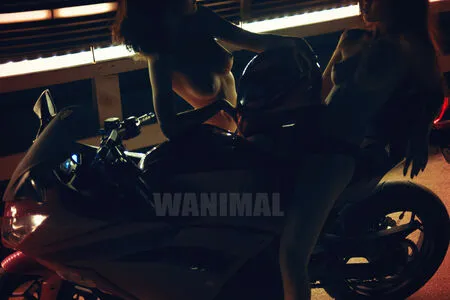Wanimal Models OnlyFans Leaked Free Thumbnail Picture - #HK8cyYDG4v