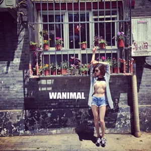 Wanimal Models OnlyFans Leaked Free Thumbnail Picture - #M8VrFJSNyu