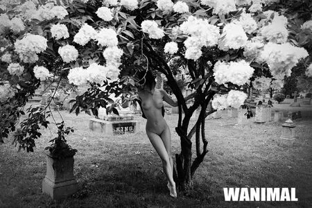 Wanimal Models OnlyFans Leaked Free Thumbnail Picture - #MX5KWHeQtQ