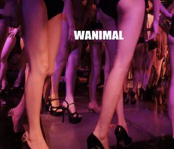 Wanimal Models OnlyFans Leaked Free Thumbnail Picture - #MZGXSW6gVK
