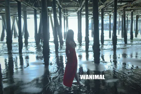 Wanimal Models OnlyFans Leaked Free Thumbnail Picture - #P3dYpnuEei