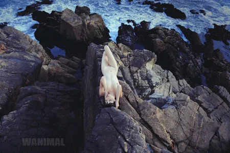 Wanimal Models OnlyFans Leaked Free Thumbnail Picture - #QA7LIBHyyB