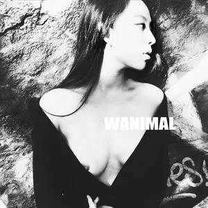 Wanimal Models OnlyFans Leaked Free Thumbnail Picture - #TCgWBhaM4L