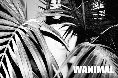 Wanimal Models OnlyFans Leaked Free Thumbnail Picture - #gKYrMr27ml