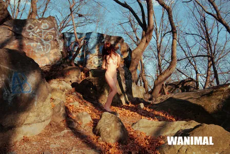 Wanimal Models OnlyFans Leaked Free Thumbnail Picture - #gimHfEdhrU