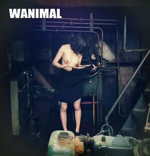 Wanimal Models OnlyFans Leaked Free Thumbnail Picture - #h85FkVJlxB